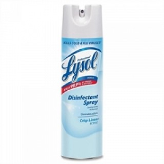 Lysol Fresh Scent Spray Can 19oz 